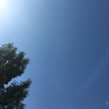 远方的鹰
