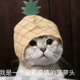 远方