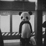 鸵鸟君