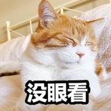 我闭麦了