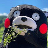 阿巴阿巴阿巴