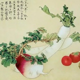 凯圈儿