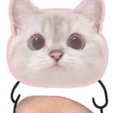 路星辞