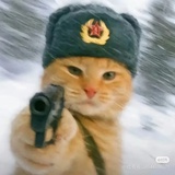 zhnghi_au17