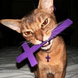 宇宙赞歌双人舞