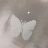 蝴蝶仙子