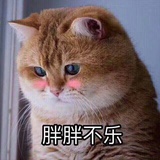香菜多多多