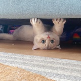 一点新