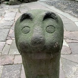 子非魚