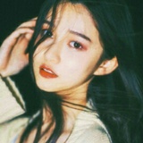 醉卧美人膝