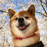 德尔