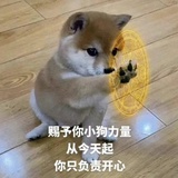 筱鸢