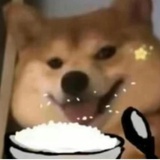 鸡蛋饼