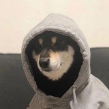 富冈义勇