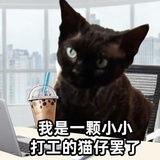 阿狸狸