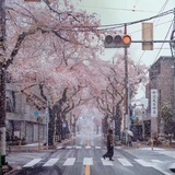 小馒头