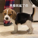这是乱纪元！