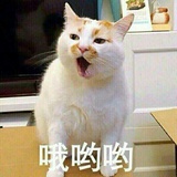 零食不过夜