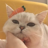 草莓波霸奶茶🍓