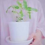 味儿