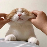 手写三千字