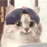 甜酒过敏