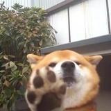 Anthony先森