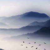 栗