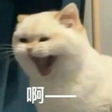 噜啦噜啦嘞