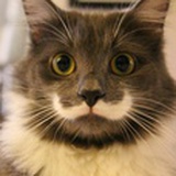 Sebastian