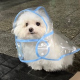 抹抹