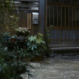 聴雨