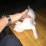 ༒࿈I༙྇T༙྇'s༙྇ Me