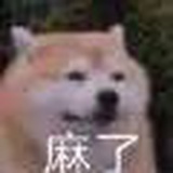 就嗑就嗑！
