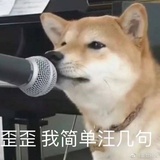口口有苗苗