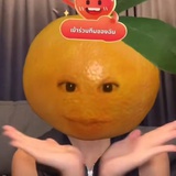 什么都嗑