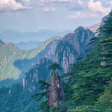 雾白