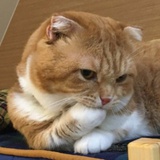 哥哥快点结束吧