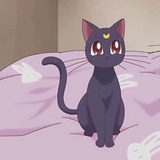 一颗番茄