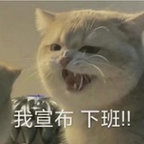 他生缘会更难期