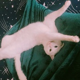 咸鱼茄子煲