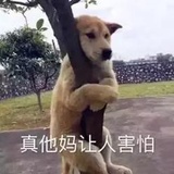 。。。。