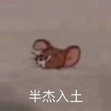 ygmygqdncss