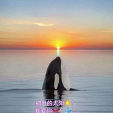 胖茄子