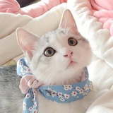 💋