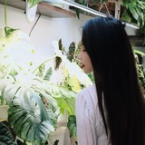 巴巴比巴卜