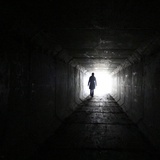 183泰迪熊