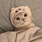 晨熙