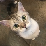 管⁢⁢理⁢员