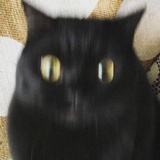 辛随阳